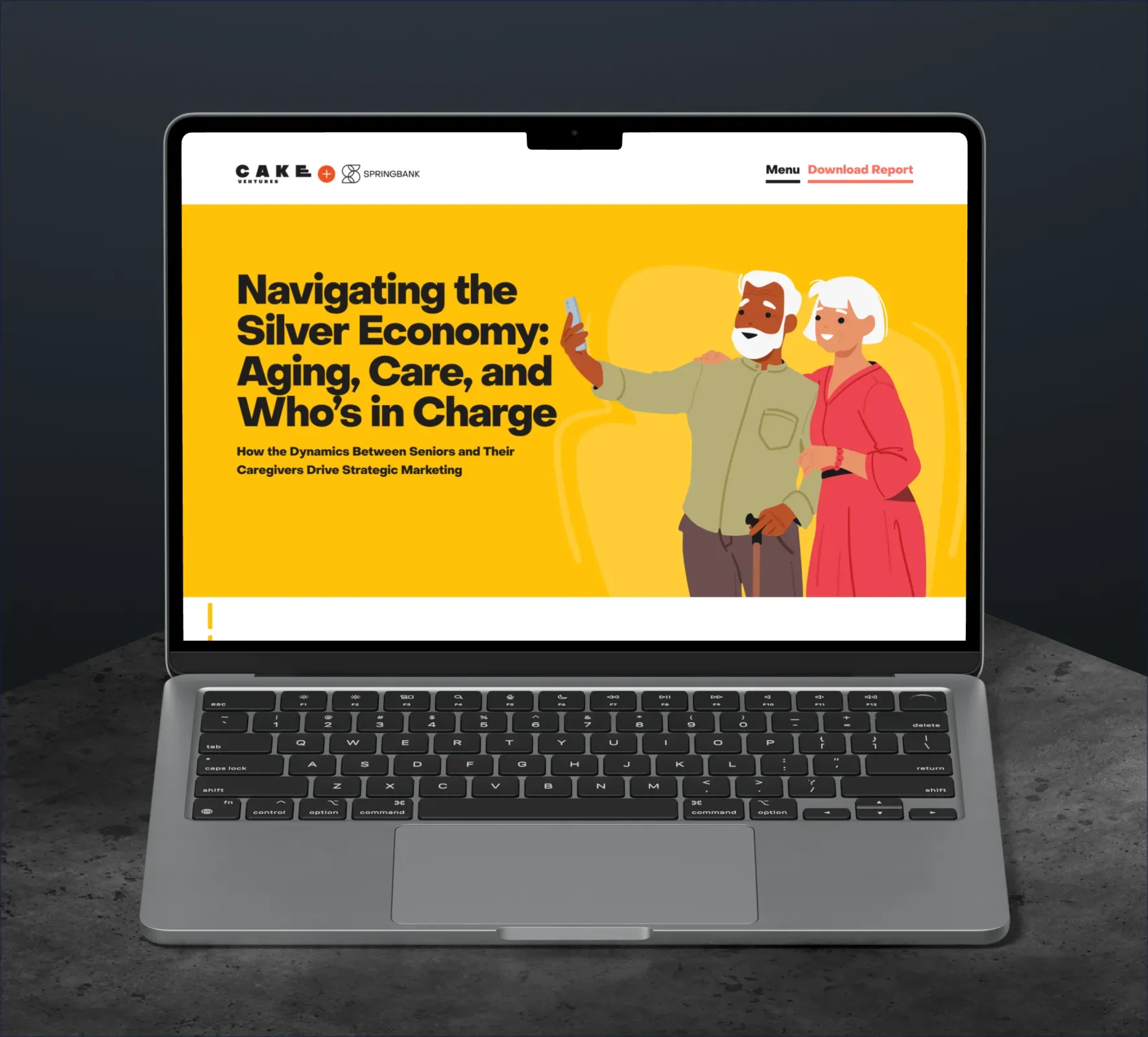 Cake Ventures | Springbank website design and development by 5Four Digital, image 1 of 12