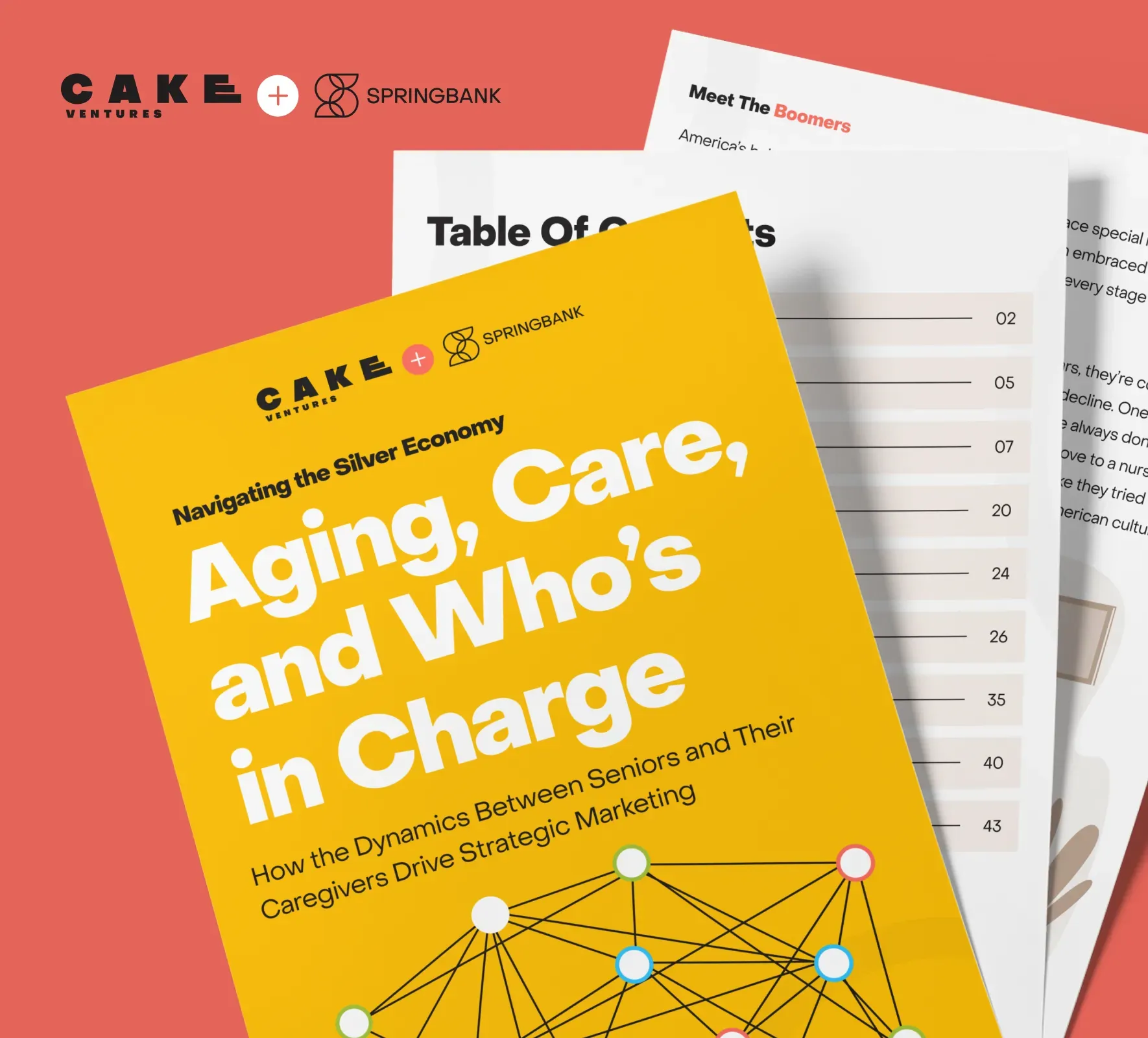 Cake Ventures | Springbank website design and development by 5Four Digital, image 12 of 12