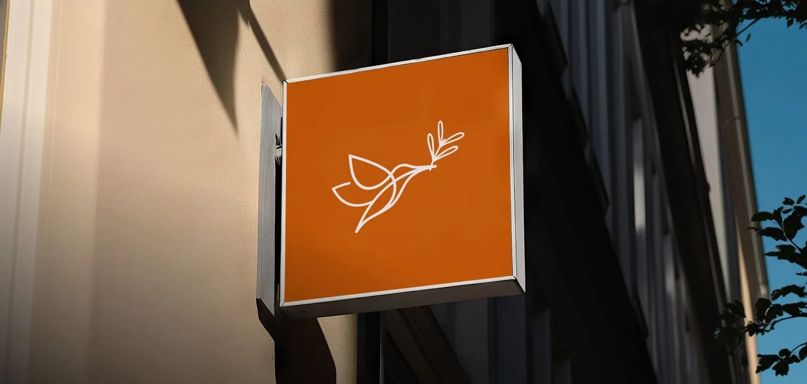 Kolibri case study: brand identity and website design by 5Four Digital